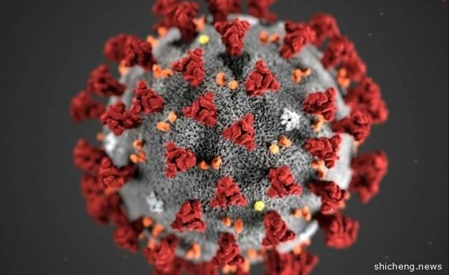 重磅！空气中测出新冠病毒RNA！新加坡一波重要数据出炉