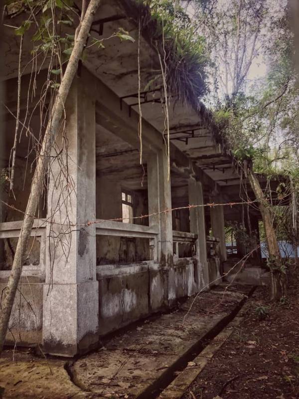 新加坡Coney Island废弃别墅,摇摇欲坠木桥小路,抓摸不清的寻访路线!🤨