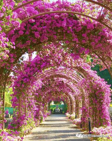 花式慶萬聖,陰森恐怖的探險之地,你敢挑戰嗎