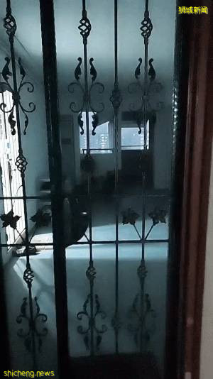 刷屏！黑雲壓城、電閃雷鳴...大雨前的新加坡超有“大片感”