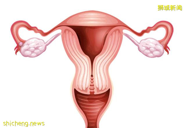 救命!家里的熊孩子不能再多了!新加坡这些避孕方法赶紧收好