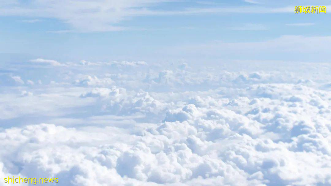 在新加坡鸡娃学奥数的好处都有哪些 (附明年小一讲座)