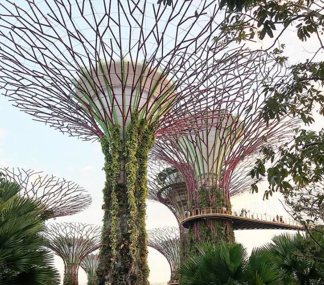 玩在獅城 坡島隱藏IG拍照打卡點推薦