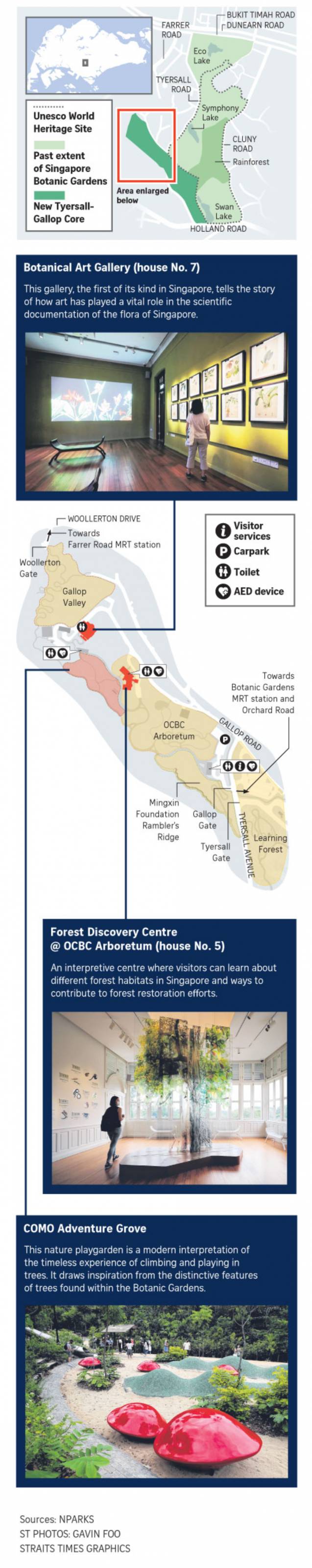 新加坡植物园爆火新景点，不知道怎么去？手把手教你游玩攻略