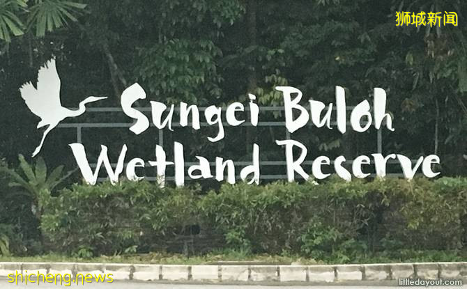 探索Sungei Buloh更便捷新方式：1块钱的Shuttle Bus又回来了