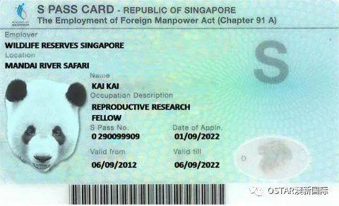 新加坡常见工作签证详解，看看你适合哪一种
