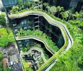 新加坡的另一面,带你看看真实的新加坡,看完别吃惊