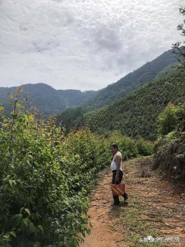 南安乐峰的新加坡国宝潘受,他的父亲竟是位“医神”