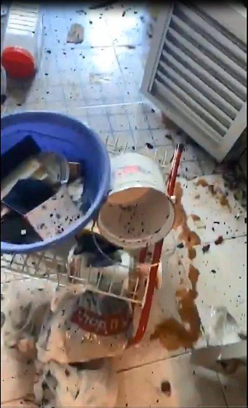数百只蟑螂和跳蚤乱窜的“垃圾屋”，七小时后焕然一新