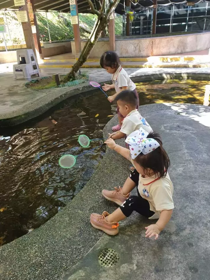 遛娃好去处!捞鱼、鱼疗Spa、参观科普、购买观赏鱼,一站式体验@仟湖渔场