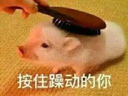 擠！爆！了！2020在家待了一整年，年底了，全新加坡的人都上街排隊