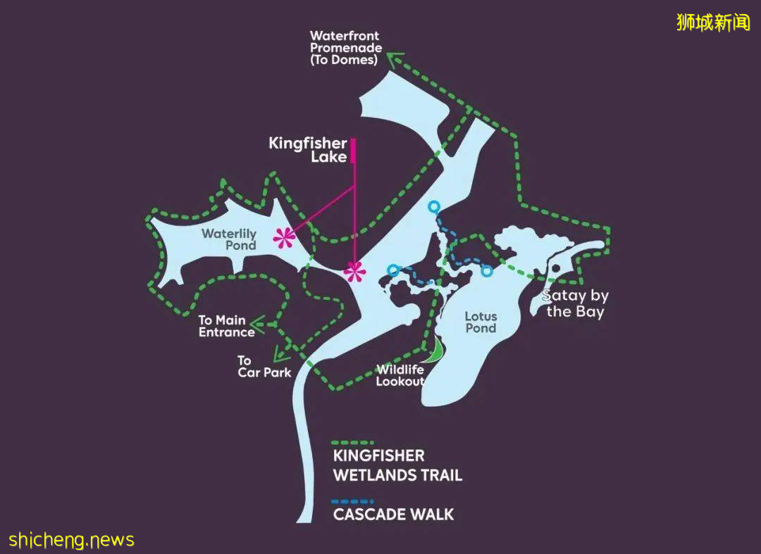 走起!滨海湾花园新景点,翠鸟湿地公园,徒步&观鸟好地方