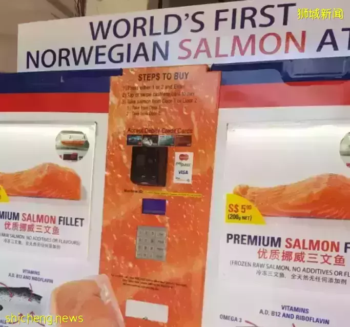 你以为的新加坡真的是你以为吗