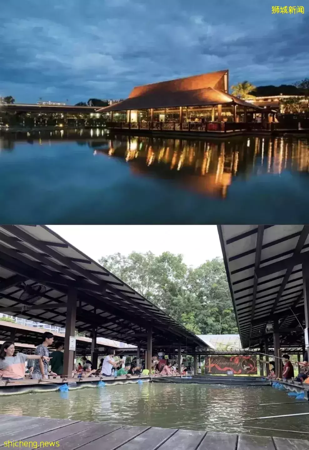 那些新加坡不睡覺的夜貓子，都在幹什麽