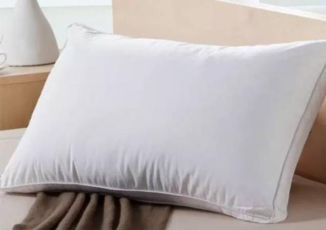 新加坡一公司卖网红原味枕头，然而网友并不买账