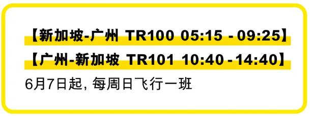 郑州航班恢复!新加坡往返中国各大城市航班信息+入境、隔离政策拿好不谢