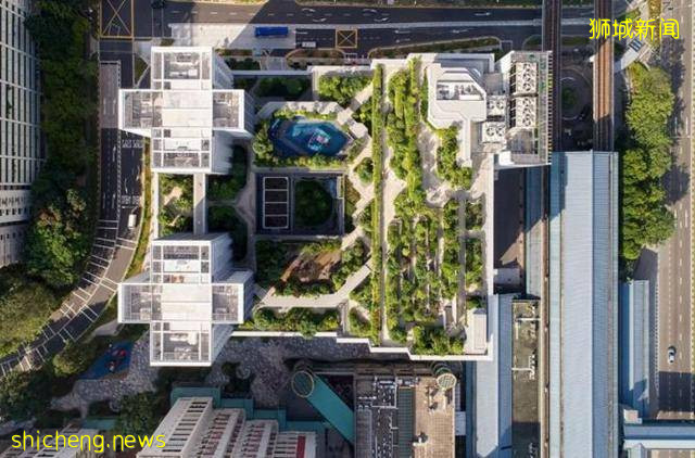 新加坡这样一个弹丸小国为什么能成为发达国家