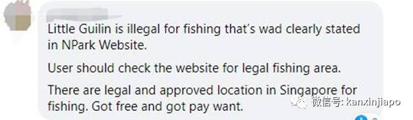 新加坡小桂林钓到大红尾鲶鱼!却不知不觉中违法了