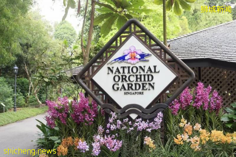 學校假期來了~李顯龍總理親自爲新加坡旅遊打Call，號召國人重新探索新加坡