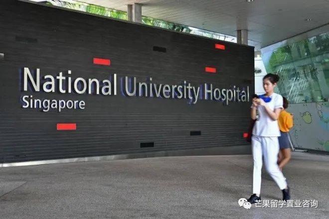 新加坡医疗之政府医院
