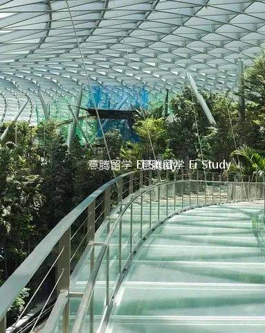 疫情之下的樟宜机场PART1