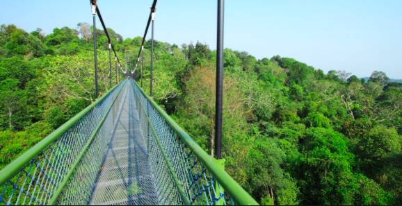 玩在獅城 周末一起去大自然裏野餐——新加坡最適合野餐的十大自然公園