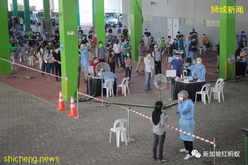 揭秘! 狮城冠病拭子检测过程全公开 前后只需不到两分钟