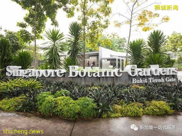 最美麗的自然風光: 新加坡植物園!