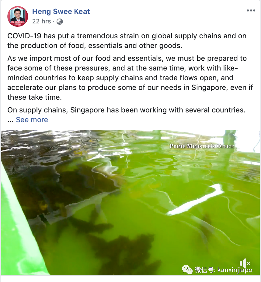 新增X例，累计8XXX | 依赖进口的新加坡会被断粮吗？