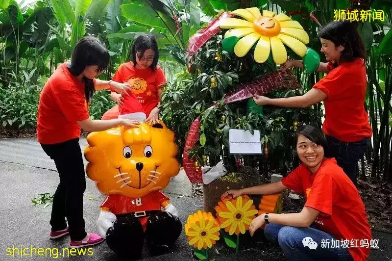 公共場所頻頻出現肢體沖突事件　新加坡人戾氣變重了