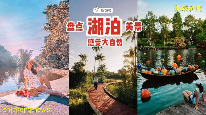 盘点新加坡7大湖泊美景✨静下心感受大自然风景、漂亮程度堪比国外