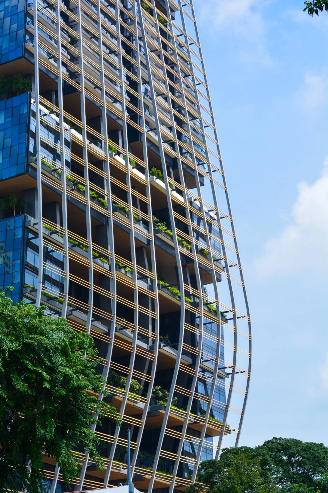 新加坡 可持续发展之路:流行病毒如何影响政府和企业重视可持续发展