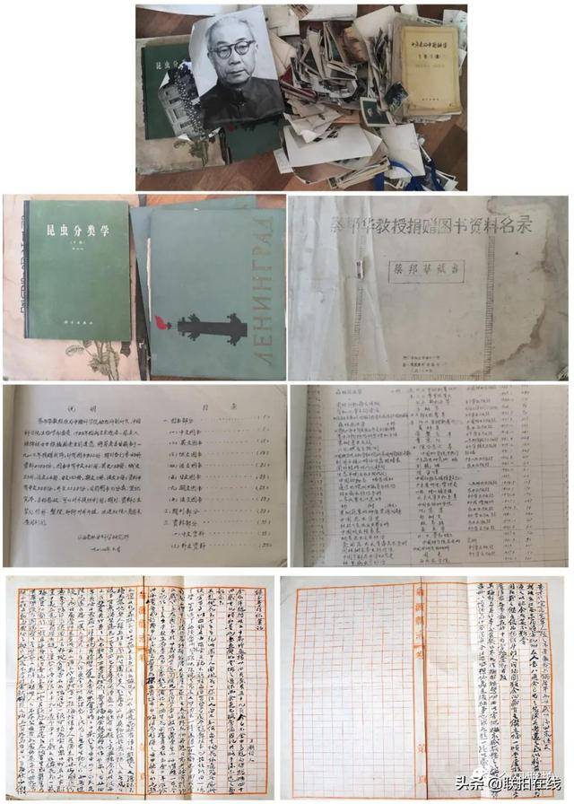 系列南洋家族秘藏上拍新加坡國際，多件郭氏家族舊藏清宮佳器現身