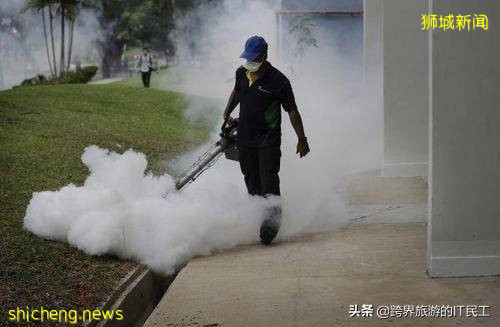 發達國家新加坡,有哪些令人奇怪的規定