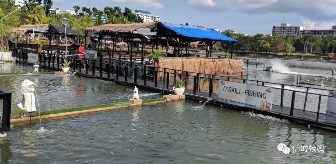 新加坡最好玩的海灘公園!趕海、騎馬、劃艇、樹籬迷宮、燒烤露營,超適合家庭出遊