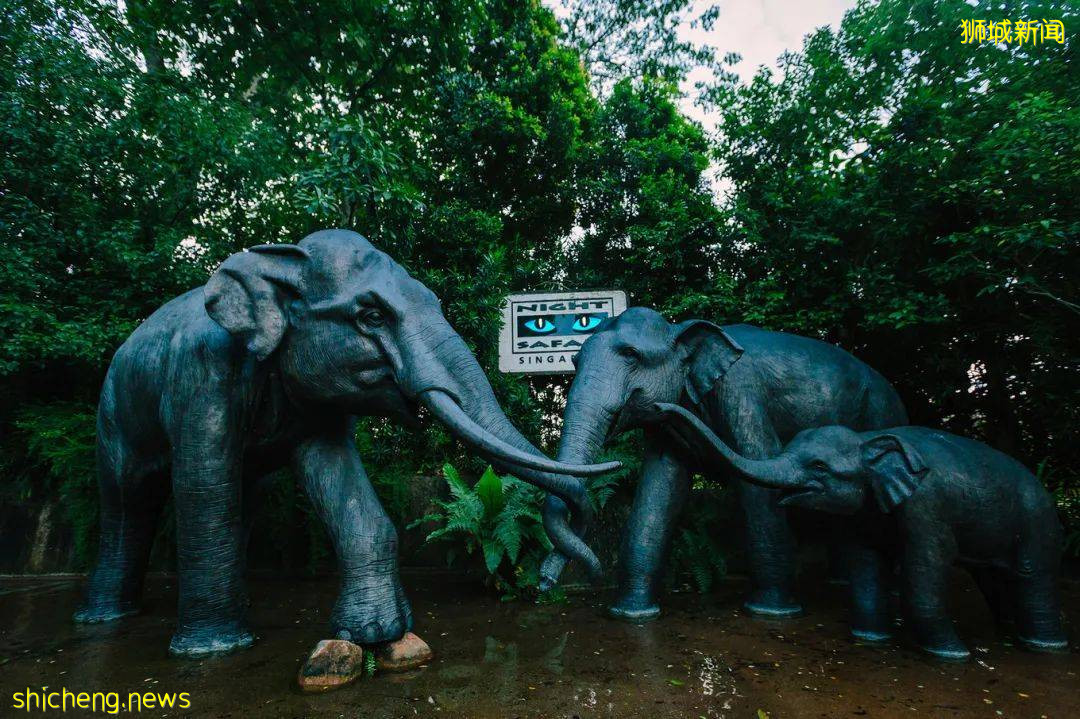 漫遊獅城 爲什麽這裏是網紅打卡地