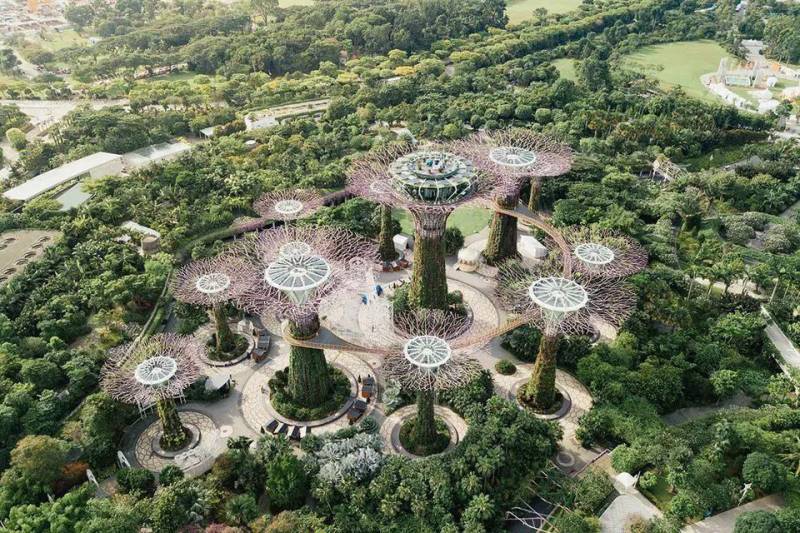 2020年，你們最終都離開了新加坡！“月薪6000新幣，但我想回國了！”