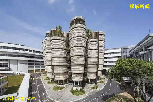 新加坡公立大學、理工大學、私立大學,分別如何申請!