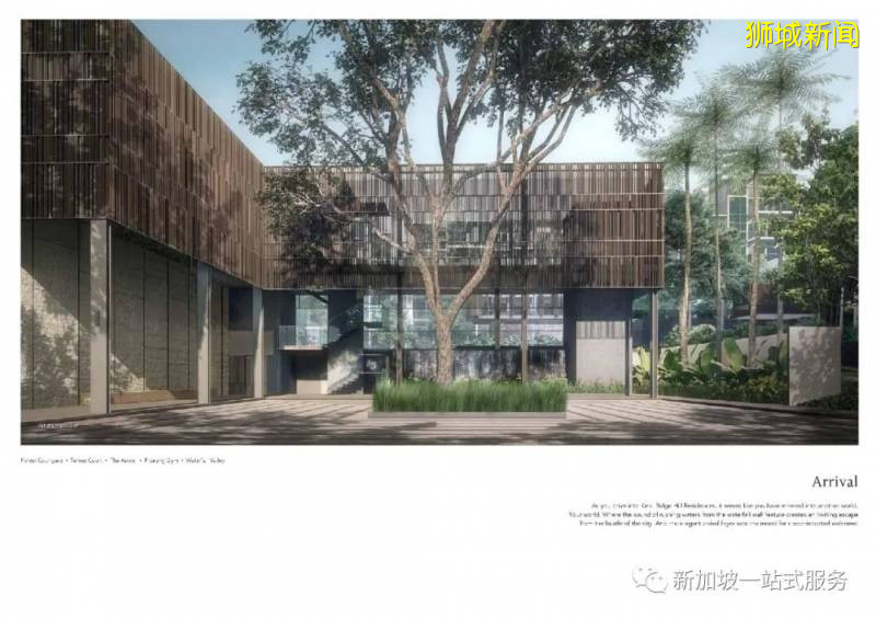 新加坡大學優勢和申請新