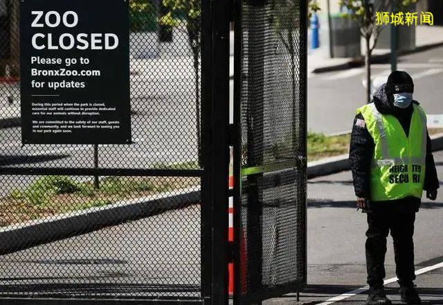 疫情下全世界动物园经营困难,新加坡Zoo开启“微赞助”模式