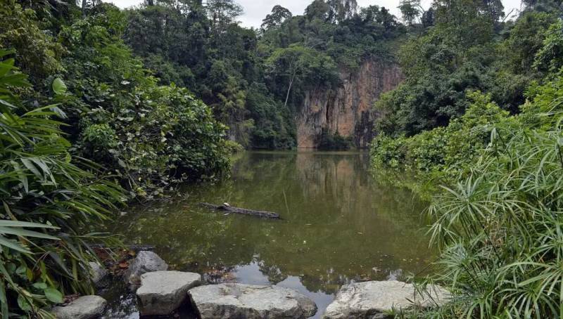 細思恐極!新加坡夜間徒步愛好者聲稱遇上了“武吉知馬猴人”,還拍下了照片