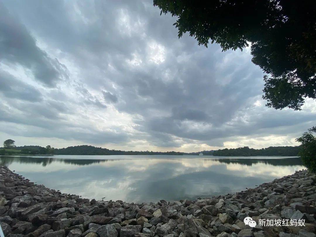 小小的新加坡竟有17個水庫　一個比一個清幽秀麗