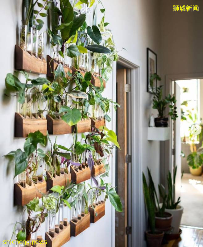 除了超市，原來新加坡還能在這些地方買到鮮花