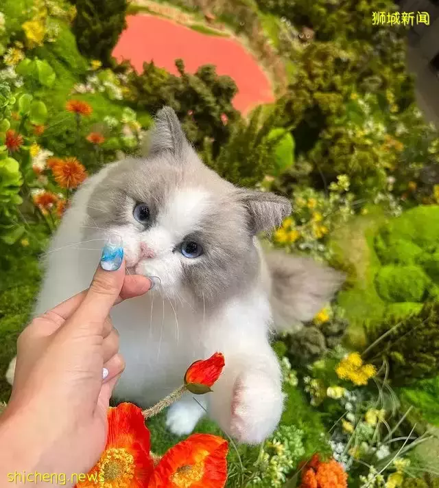 Jennie x Gentle Monster快闪店空降新加坡!全球5个城市举办,新加坡站展出至4月3日💐