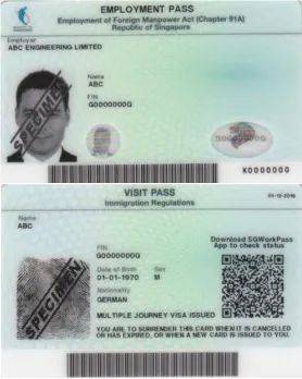 新加坡:雇主担保移民