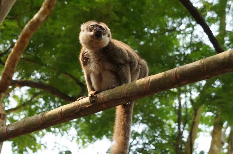 【新加坡景點指南】新加坡15個好玩兒的最受歡迎的景區景點,獨具特色