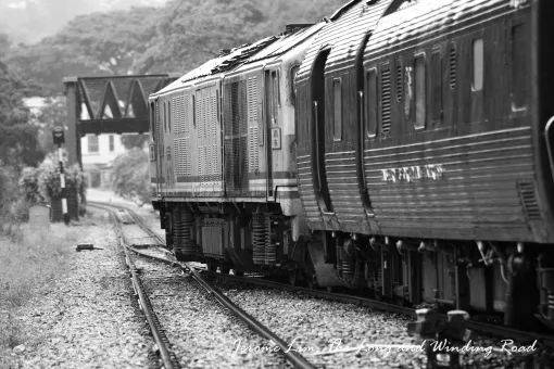 本周最熱打卡地