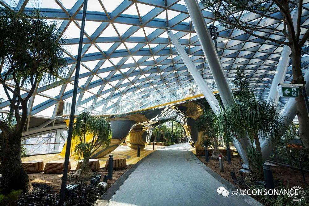 新加坡樟宜機場全方位解讀