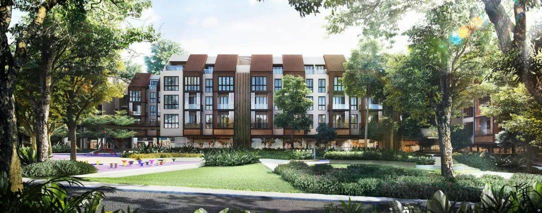 全球名校认可的高中国际文凭,新加坡学生通过率近98%