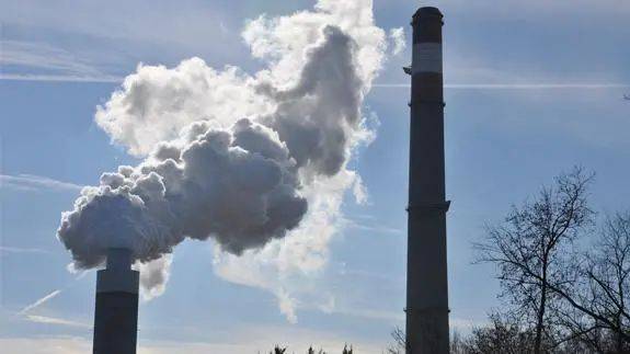 新加坡政府推出“綠基因”計劃，協助企業減少碳排放